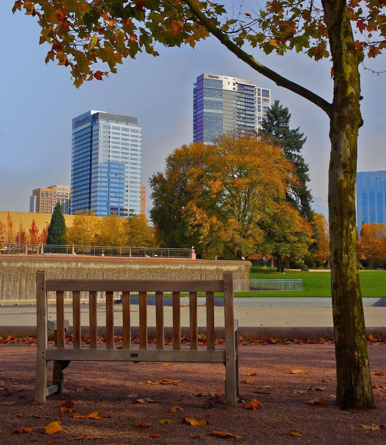 Sheraton Bellevue Hotel Dış mekan fotoğraf